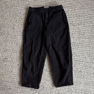 Everlane Black Arc Chinos